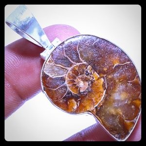 Spectacular Ammonite Gemstone 925 Silver Pendant